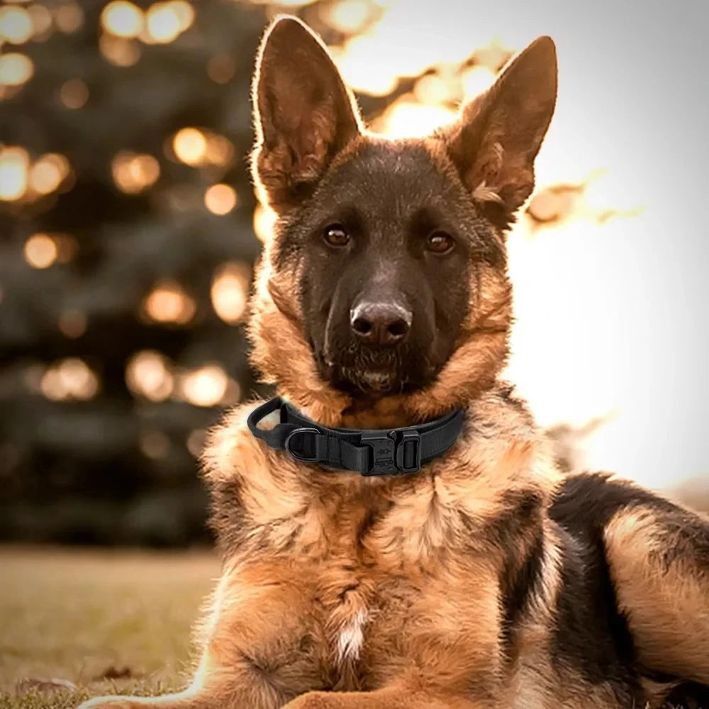 Tactical Police Dog Collar Military Adjustable Duarable Nylon German Shepard For Medium Large Walking Training Pet Accessories