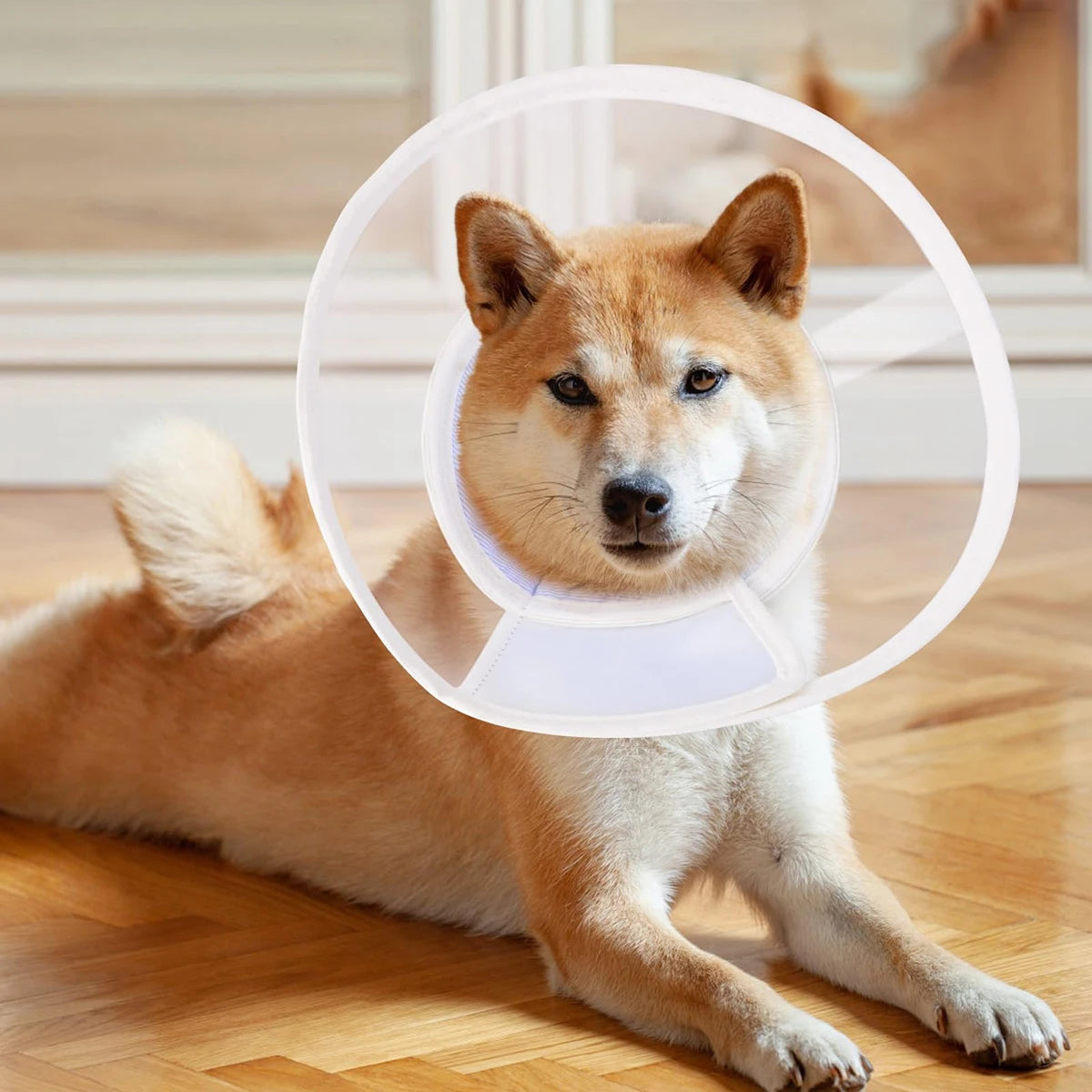 Elizabethan Circle Cat Dog Soft Lightweight Neck Care Waterproof Anti-licking Anti-scratch Wound Protection Post-operative Care