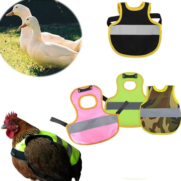 Adjustable Chicken Vest Pet Reflective Vest Chicken Clothes Poultry Hen Saddle Apron Feather Protection Holder For Chicken Duck