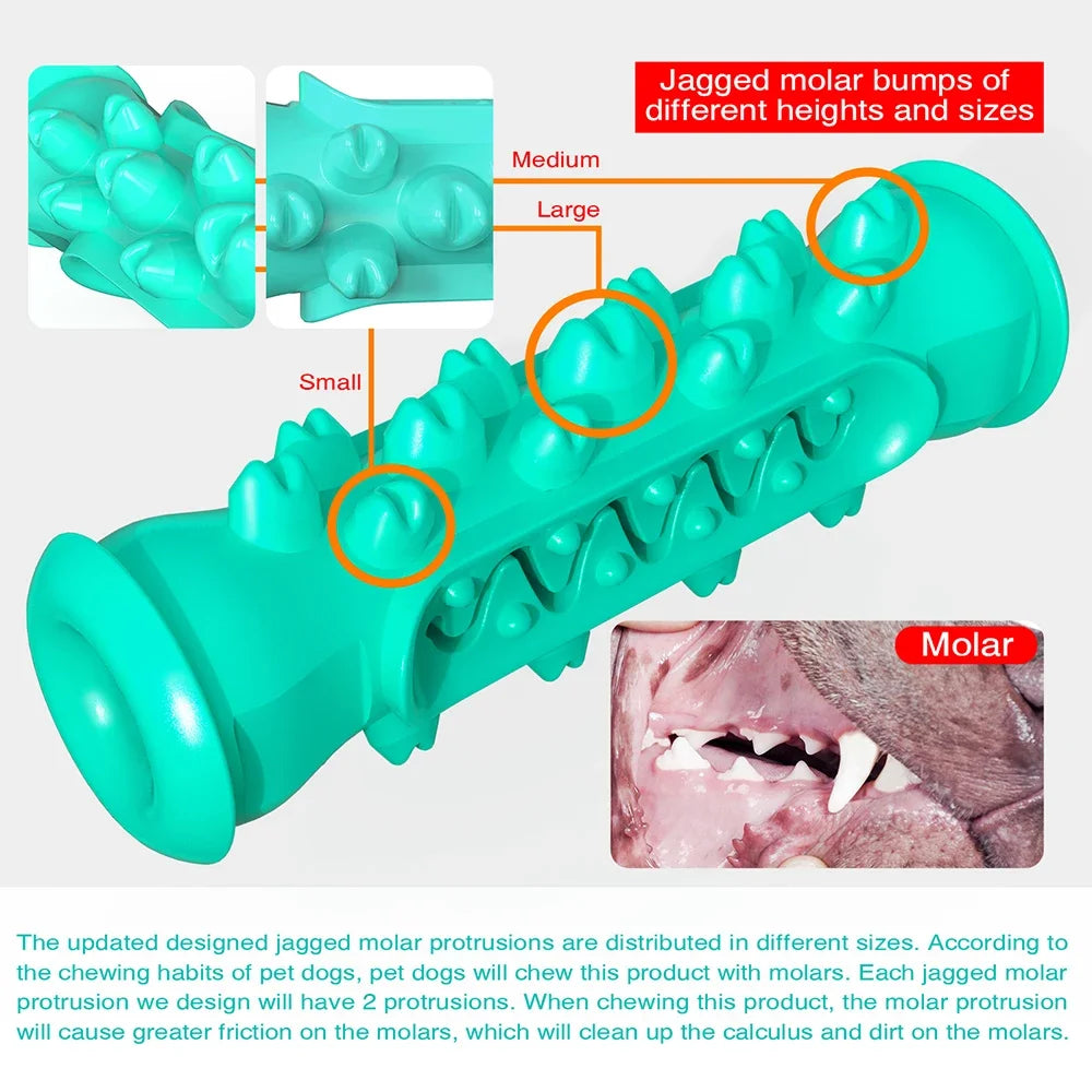 Dog Teething Rod Toothbrush Stick Molar Toys Dog Chew Supplies Pet  Teeth Cleaning Training Interactive Toy