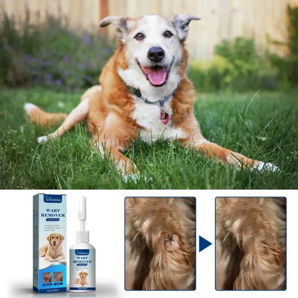 Pet Flea Killer Drops Anti Fleas Cats Ticks Lice Mite Removal Relieve Itching Dogs Ringworm Treatment Pet Insect Removal Drops