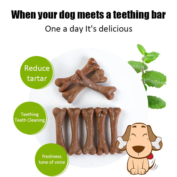 New Dog Snacks Teething Sticks 28g Teeth Cleansing Bone Fresh Ingredients Flavorful Nutritious Healthy Pet Puppy Snacks Foods