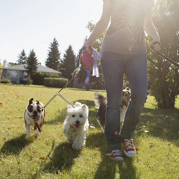 2 Dogs Leash Heavy Duty Stainless Steel Double Dog Coupler Twin Lead 2 Way for Two Pet Dogs Walking Leash Large Dog Safety Chain