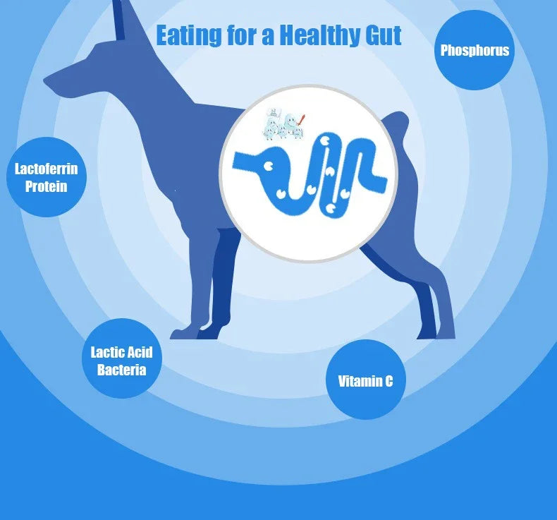 Dogs Cheese Original State Goat's Milk Cheese Bacteria Adult Dog Wet Food Goat's Milk Benefit Calcium Supplement Canned Snacks