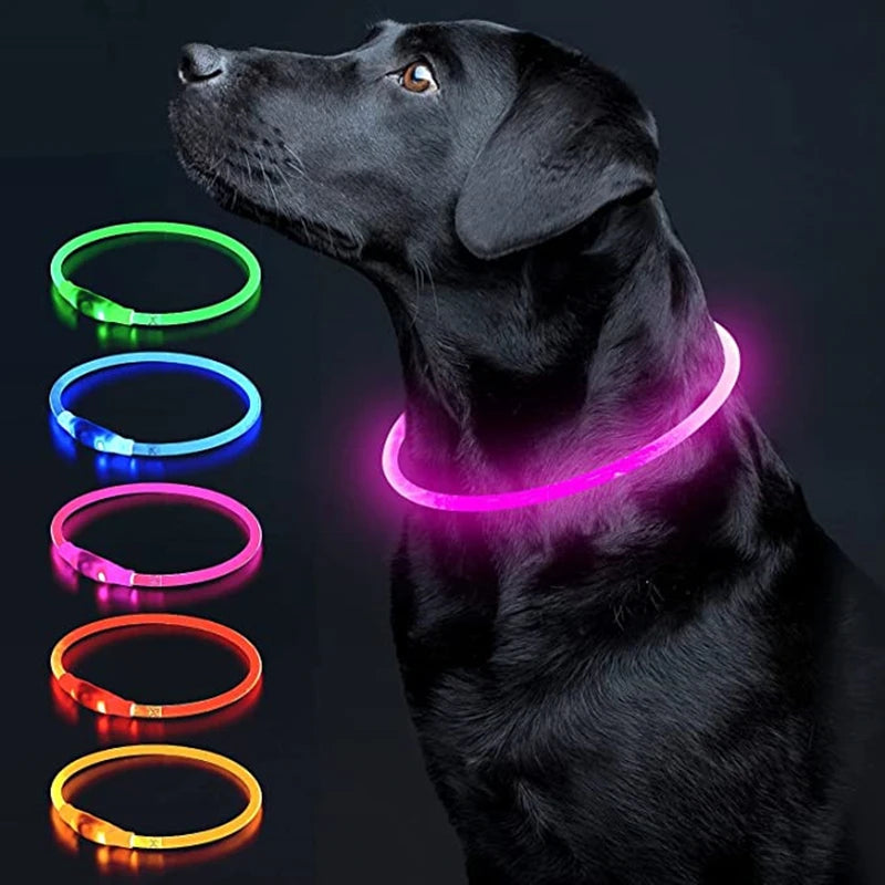 50496837714193|50496837746961