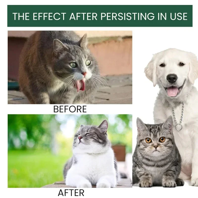 Pet probiotic drops relieve discomfort in cats, dogs, and bad breath. Pet care solution