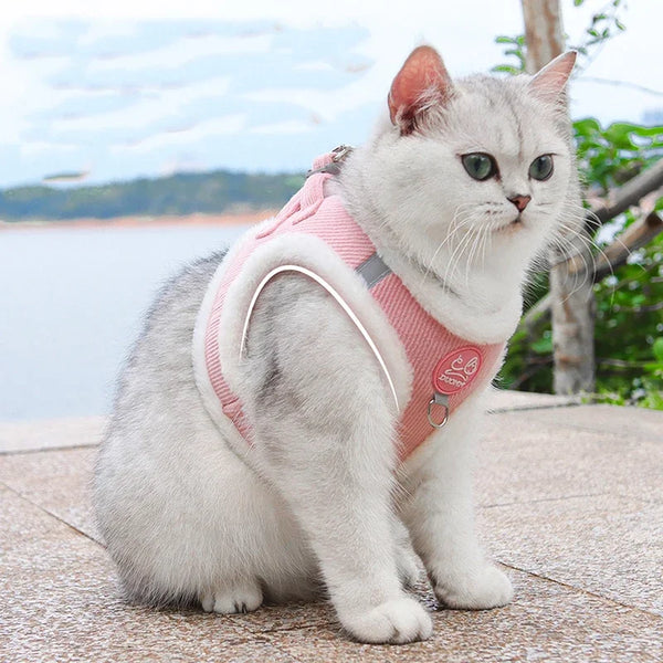 INS Cute Dog Harness Chest Back Set Autumn and Winter Harness and Leash Set for Small Dogs Bichon Pet Plushes Cat Dog Products