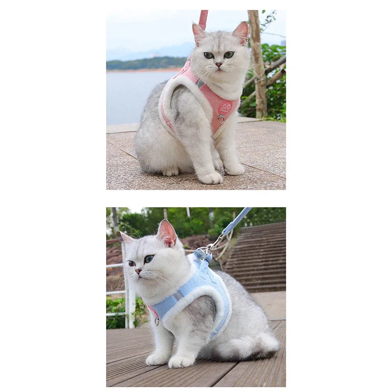 INS Cute Dog Harness Chest Back Set Autumn and Winter Harness and Leash Set for Small Dogs Bichon Pet Plushes Cat Dog Products