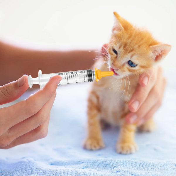 Pet Feeding Set Kitten Feeding Kit Kitten Bottle Puppy Feeding Newborn Small Animals Kitten Pacifier Pet Nursing