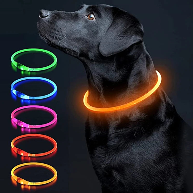50496837812497|50496837845265