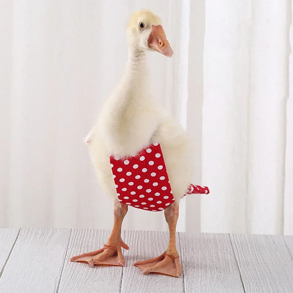 Reusable S/M/L Farm Pet Goose Diaper Hen Chicken Duck Poultry Diaper Cloth Washable Costume Diaper with Bow Knot Goose Supplies