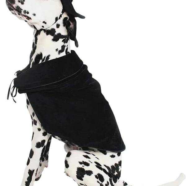 Halloween Witch Cape and Hat Dog Costume (Medium)